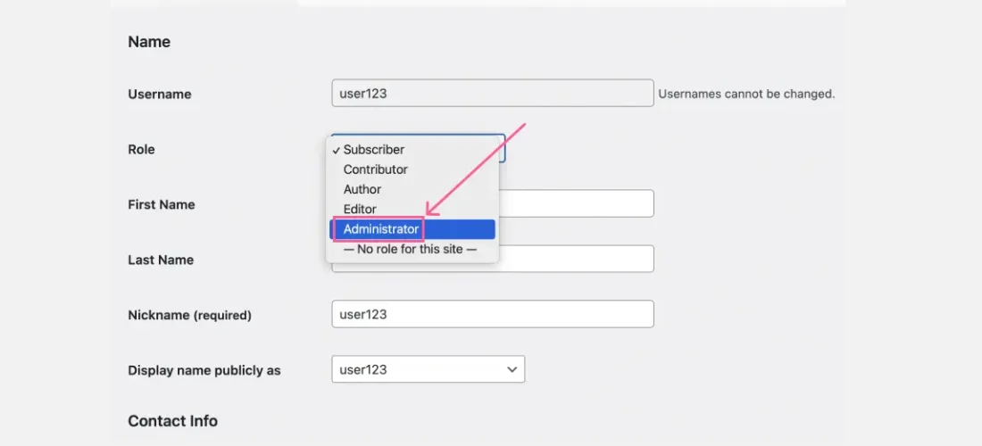 how make a subscriber an admin on wordpress_ Using User Role Editor
